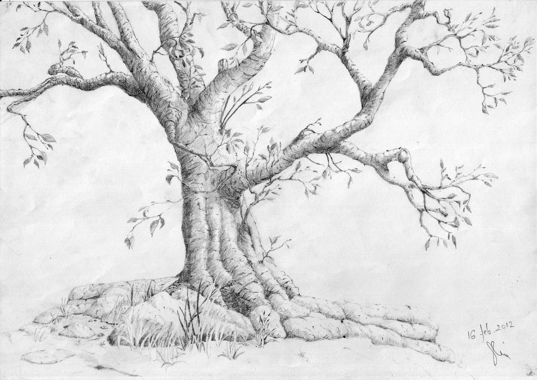 Pencil sketch of a gnarled tree, drawn from imagination.